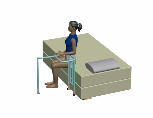 Bedside Transfer Rail (MF BTR -1 with Insert) - Image 2